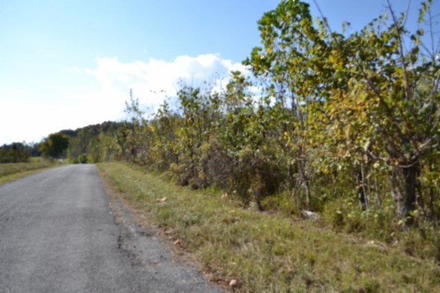 0 Mate Allen Rd Property Photo 35