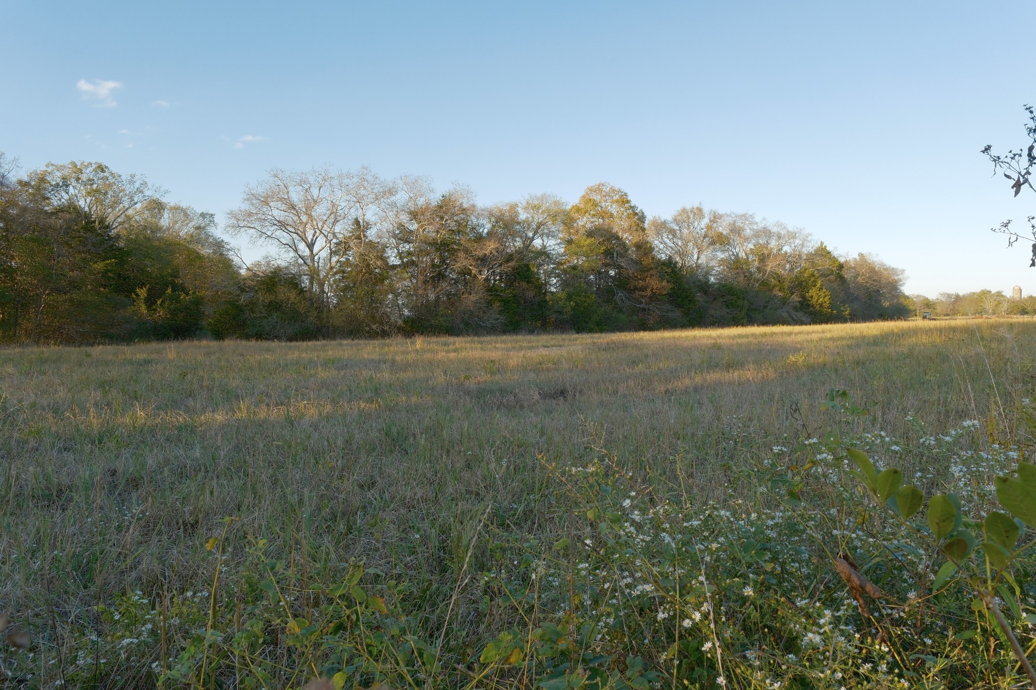 0 Cedar Grove Rd Property Photo 6