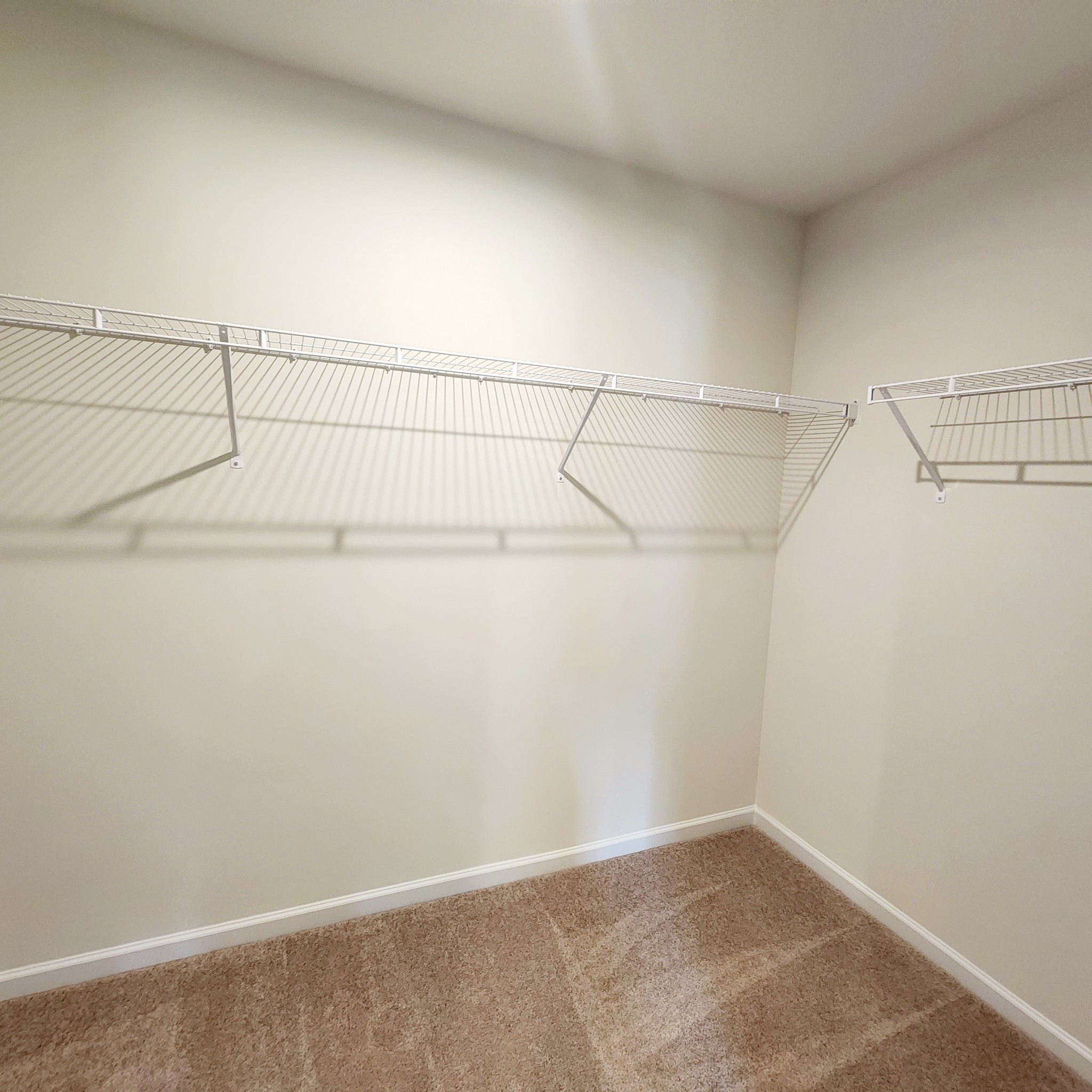 1701 Quail Run Way Property Photo 11