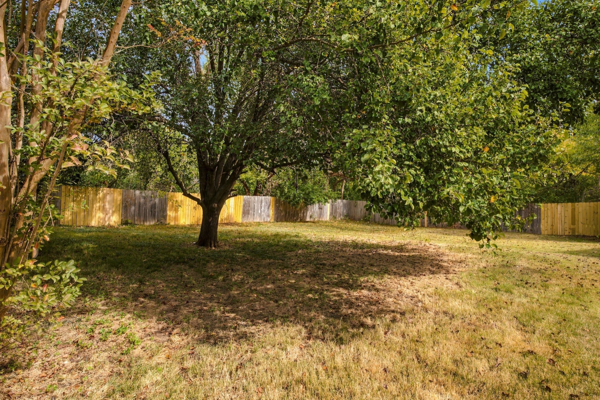 661 Dutchmans Dr Property Photo 30
