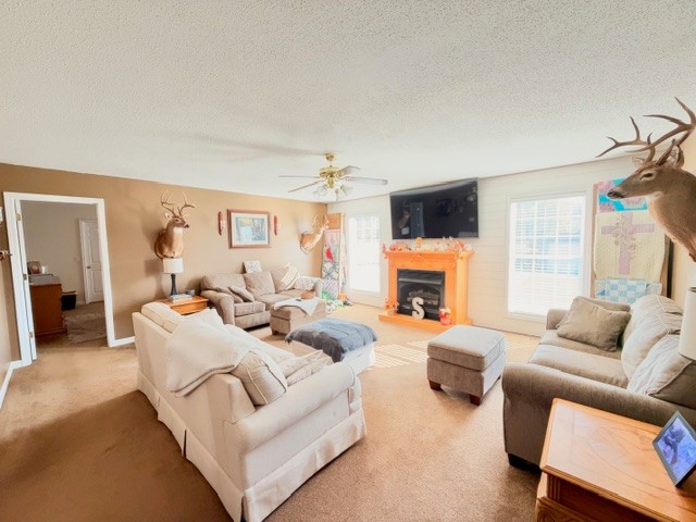 4058 Payne Cove Rd Property Photo 3