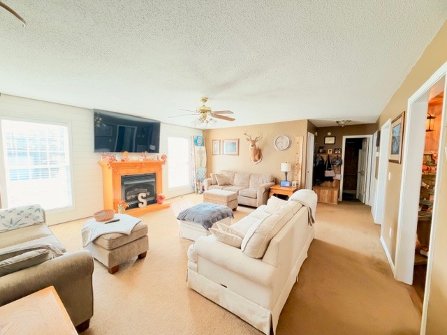 4058 Payne Cove Rd Property Photo 4