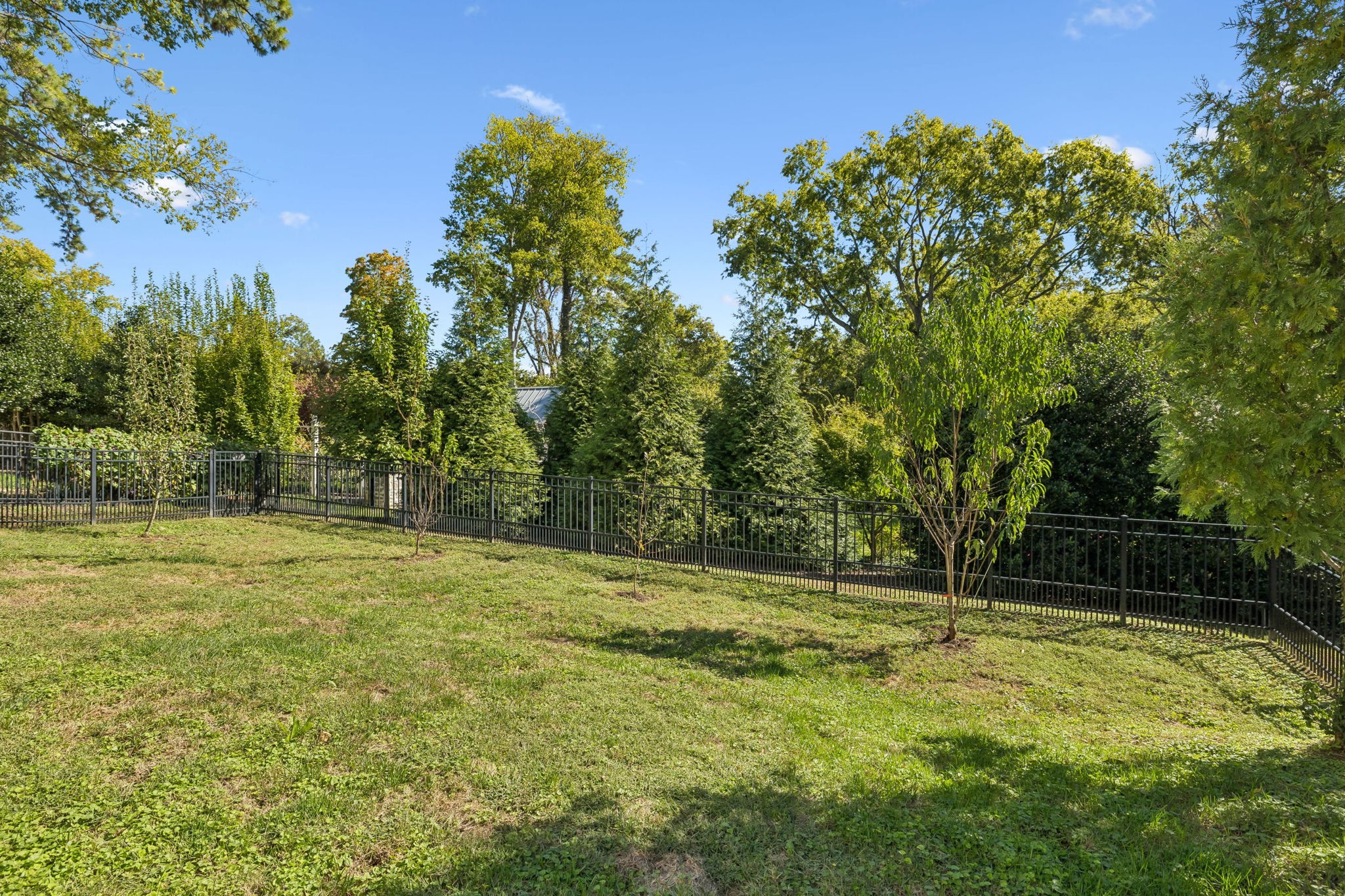 1017 Benelli Park Ct Property Photo 60