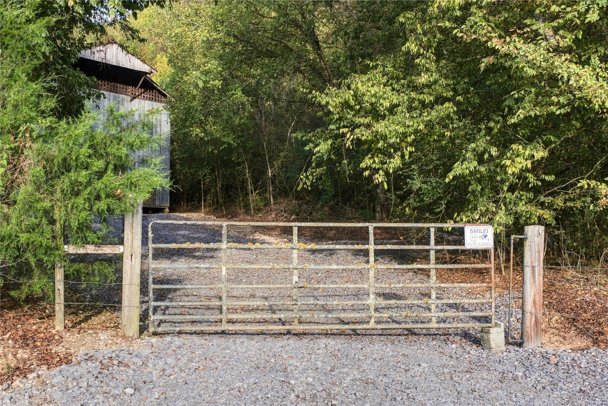 1244 Morrison Creek Rd Property Photo 48