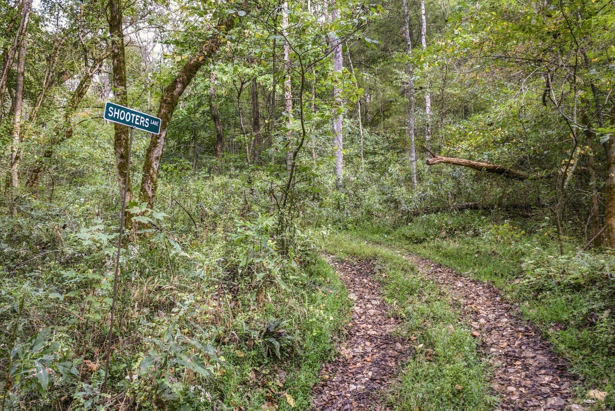 1244 Morrison Creek Rd Property Photo 64