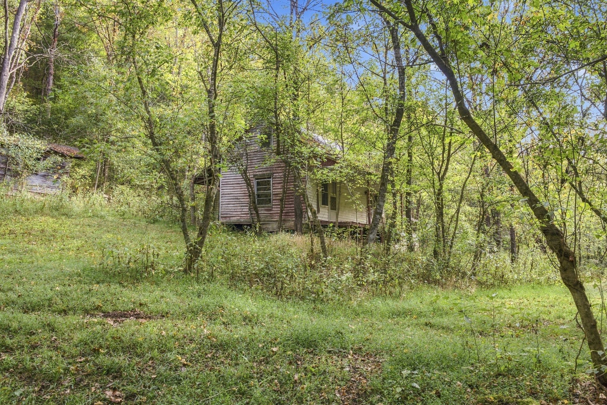 1244 Morrison Creek Rd Property Photo 84