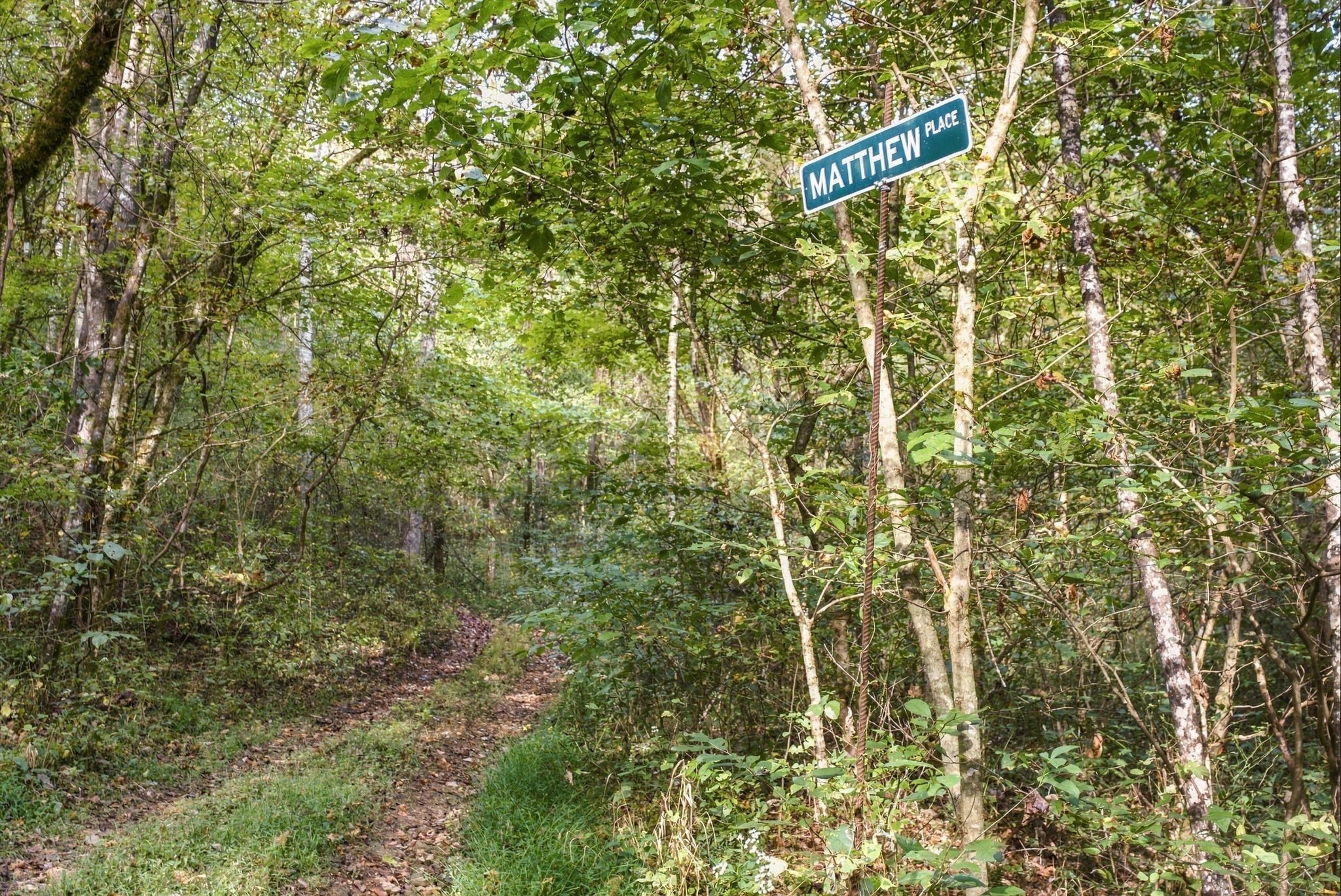 1244 Morrison Creek Rd Property Photo 90