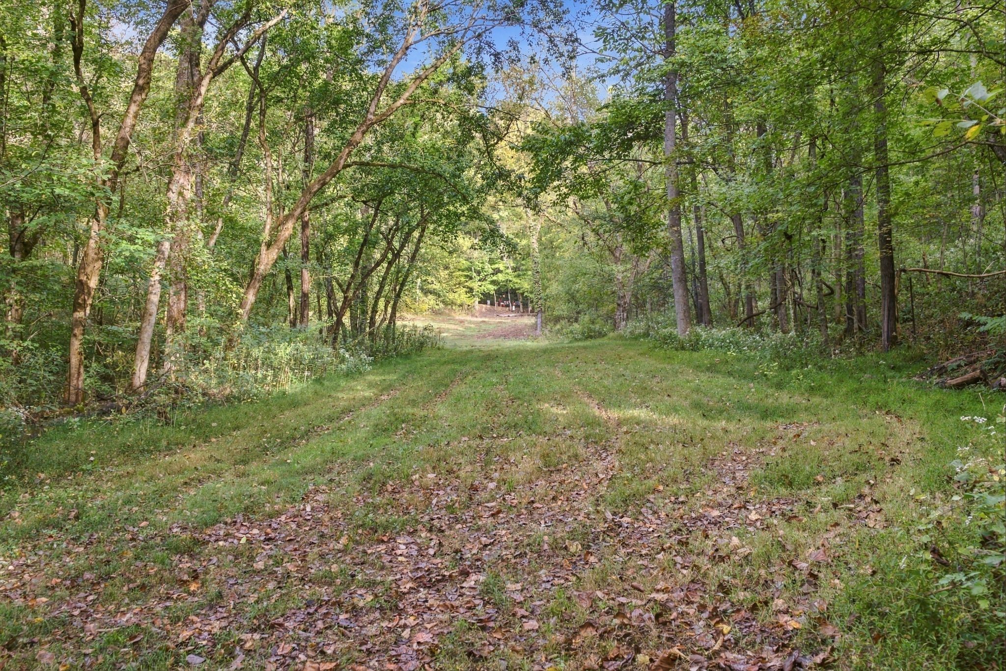 1244 Morrison Creek Rd Property Photo 91