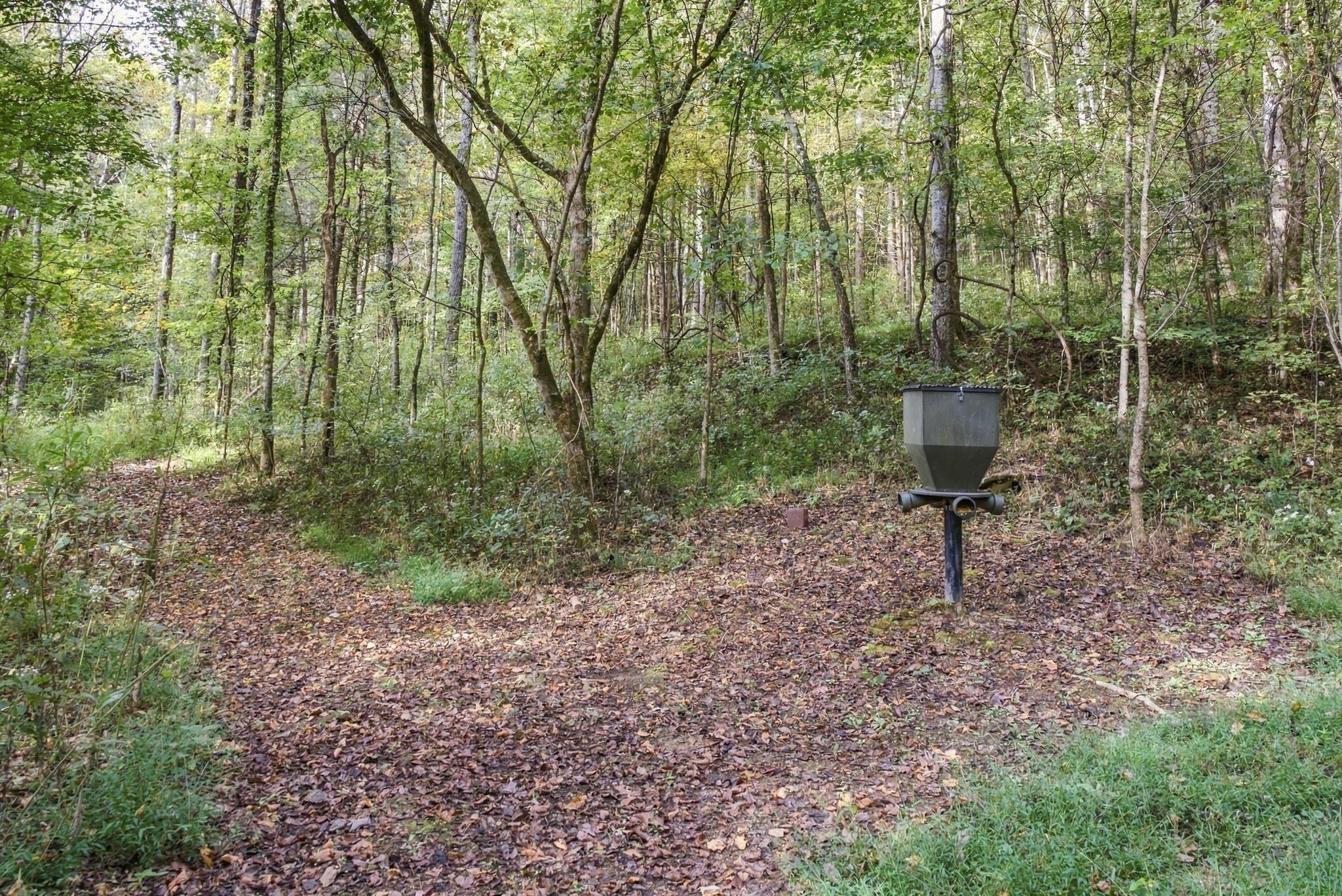 1244 Morrison Creek Rd Property Photo 93