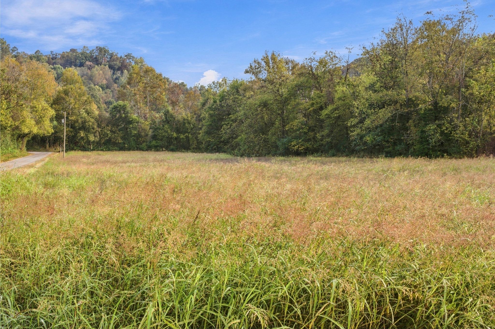 1244 Morrison Creek Rd Property Photo 100