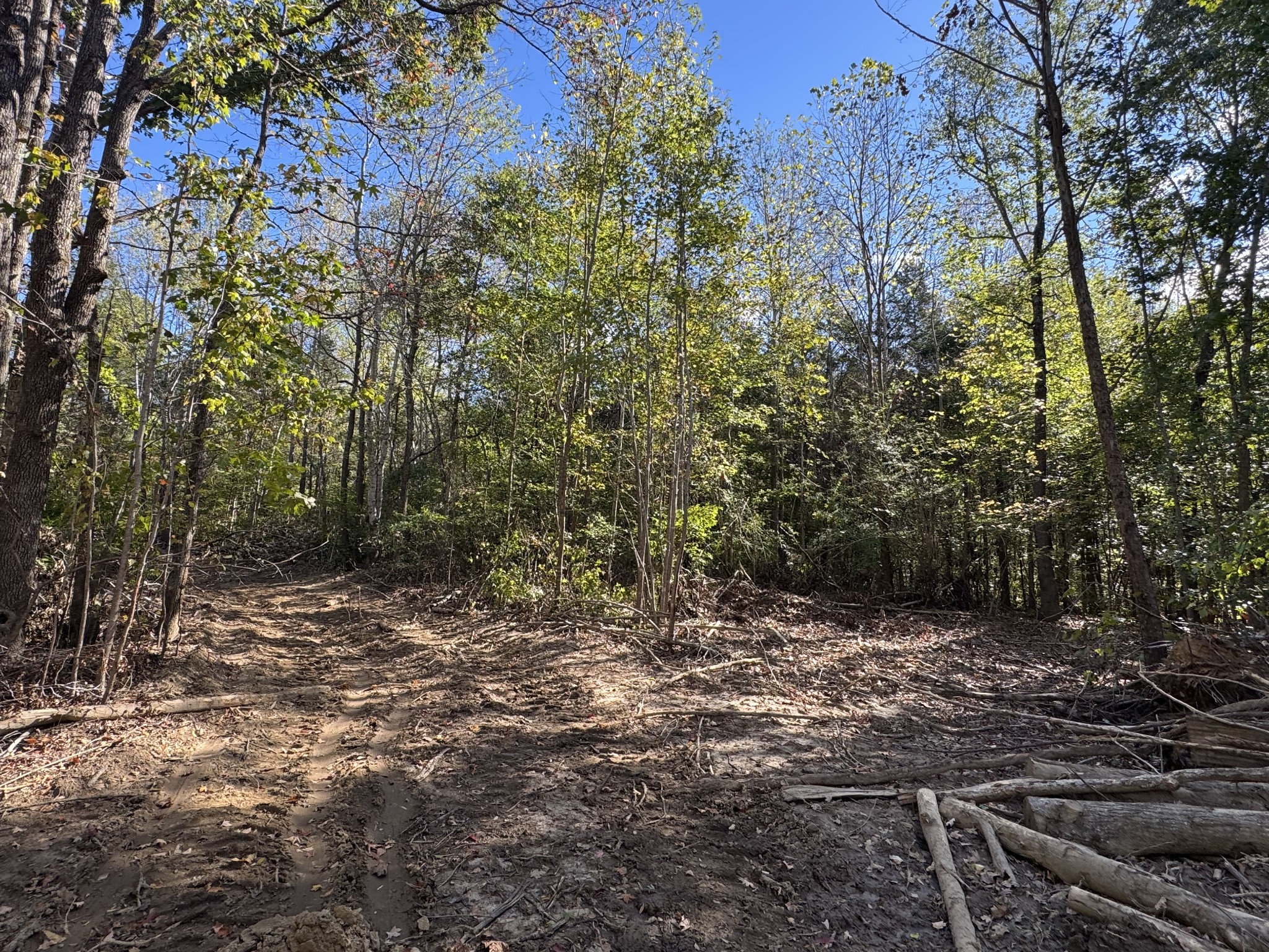 2207 River Rd Property Photo 10