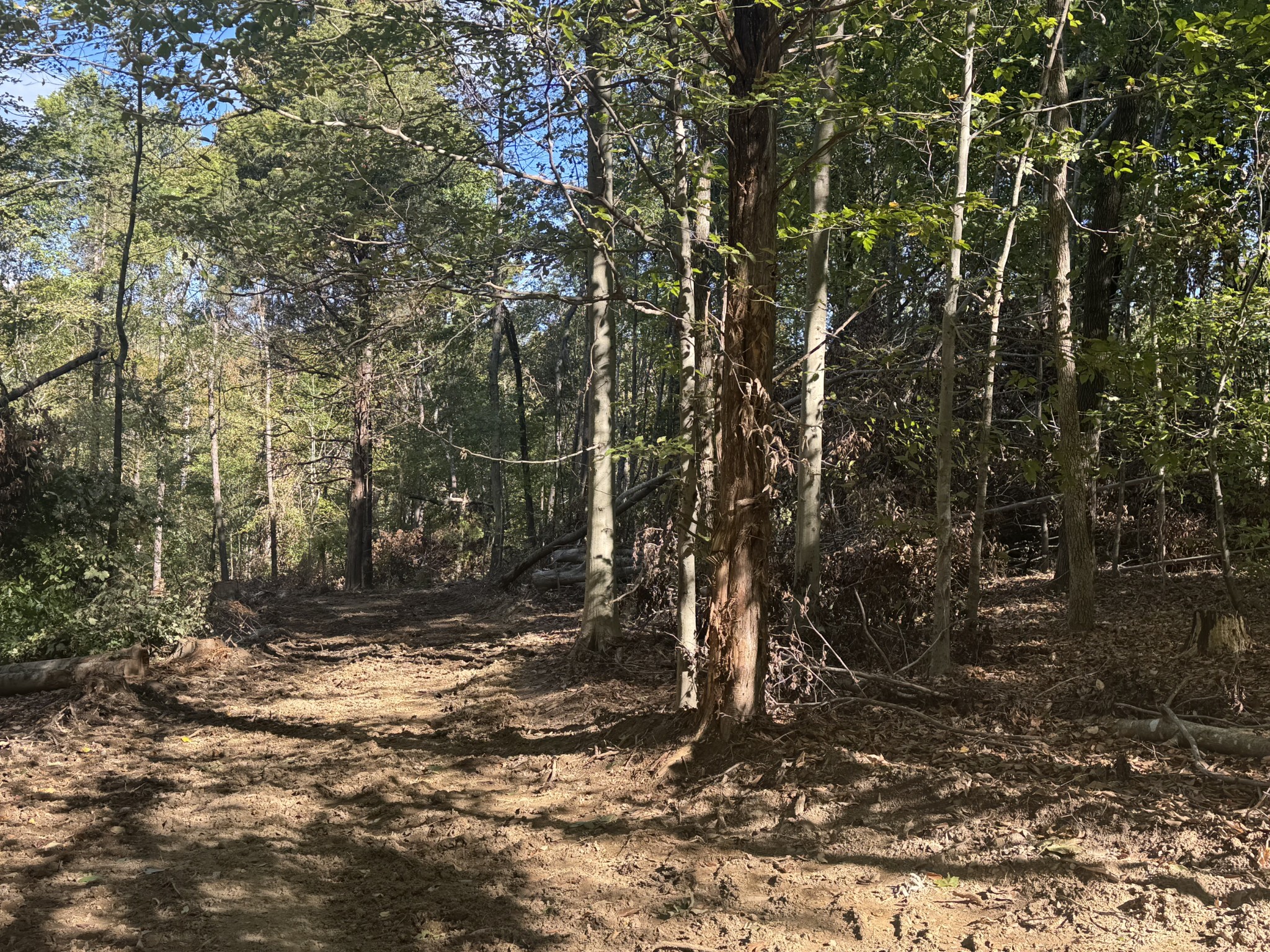 2207 River Rd Property Photo 12