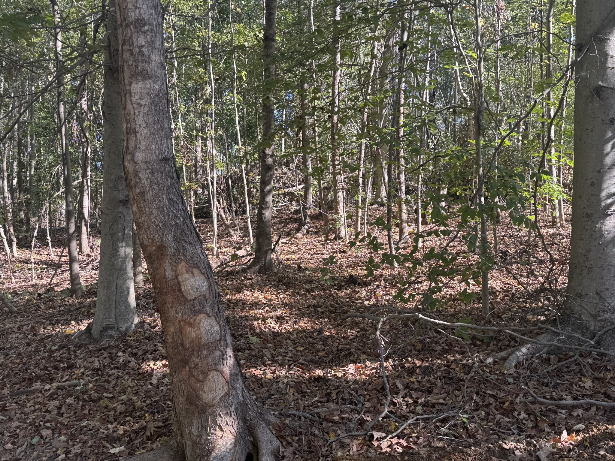 2207 River Rd Property Photo 13