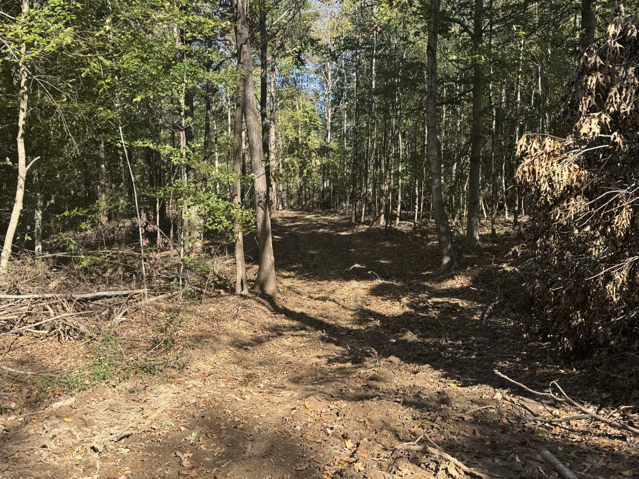 2207 River Rd Property Photo 14