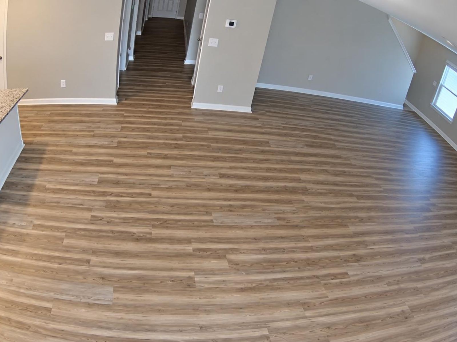 7422 Cottontail St Property Photo 6