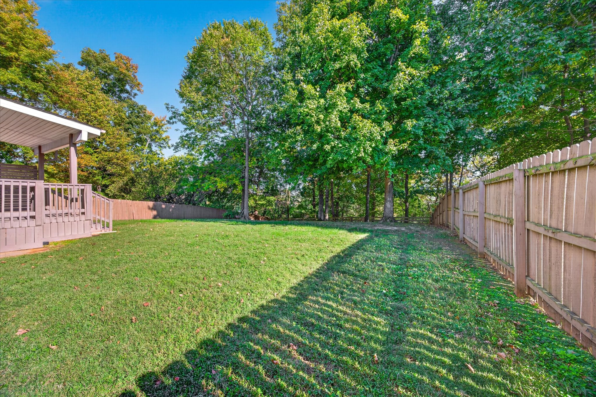 3205 Timberdale Dr Property Photo 56