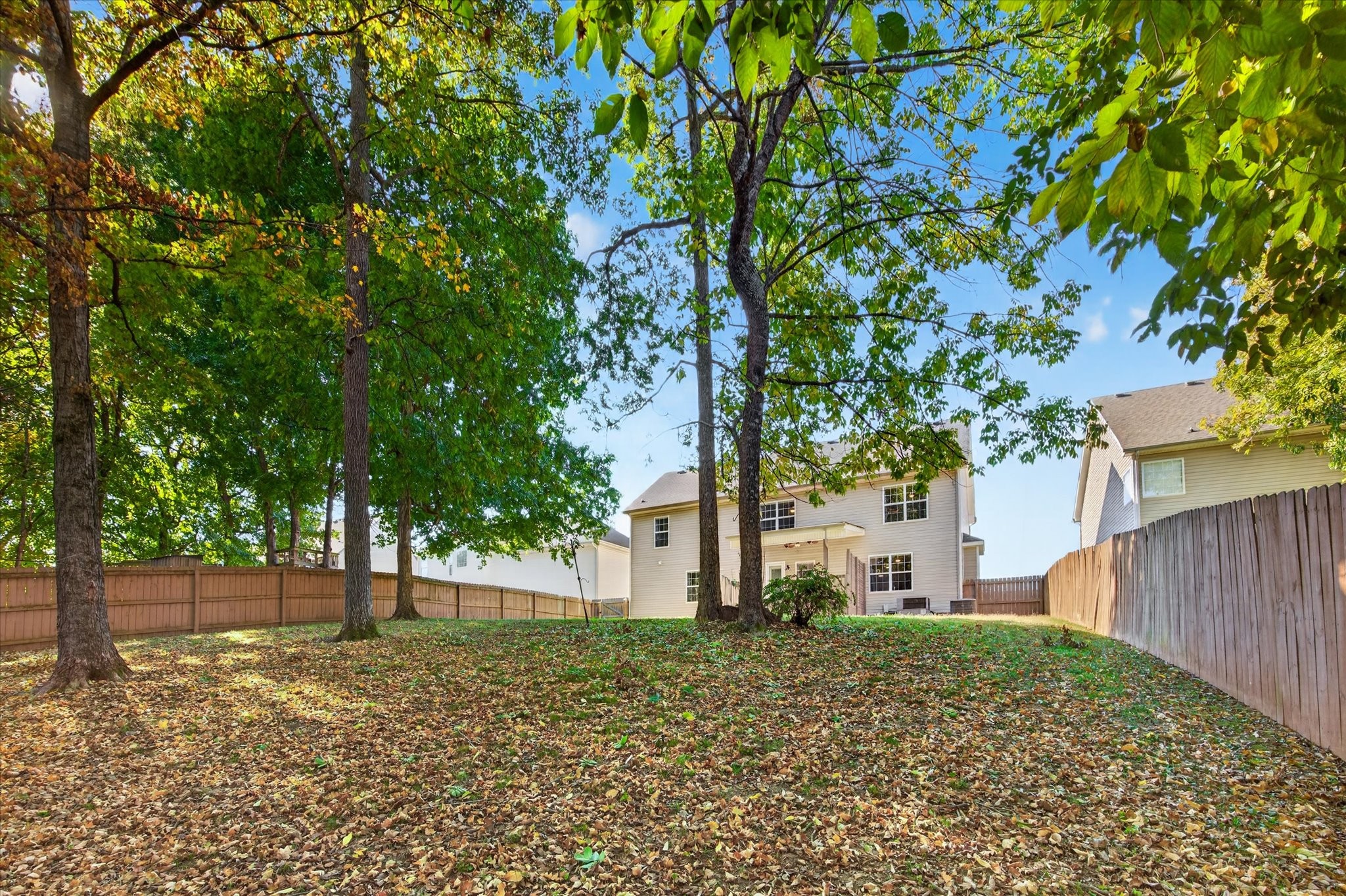 3205 Timberdale Dr Property Photo 58