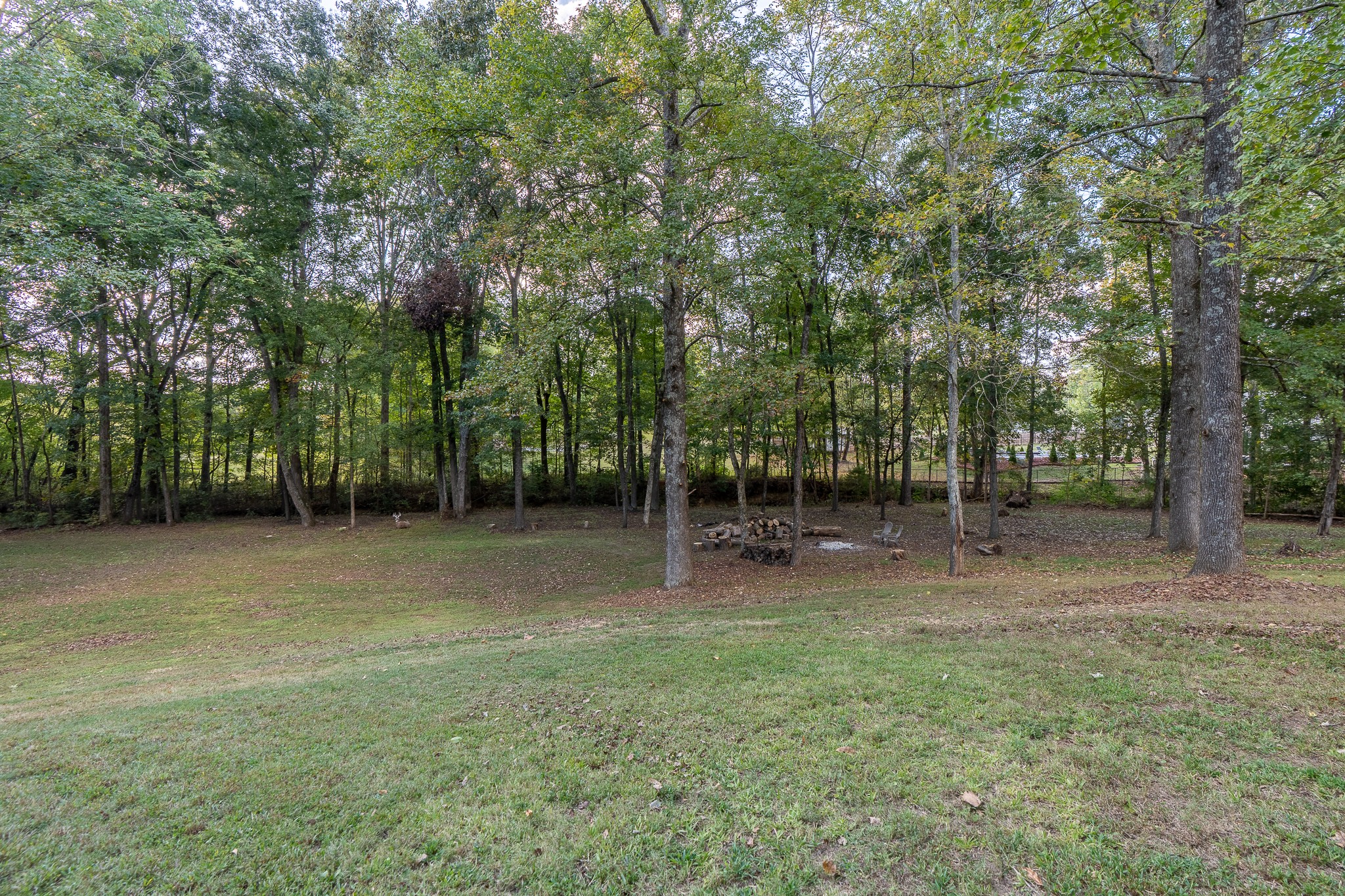 2155 Joann Ave Property Photo 41