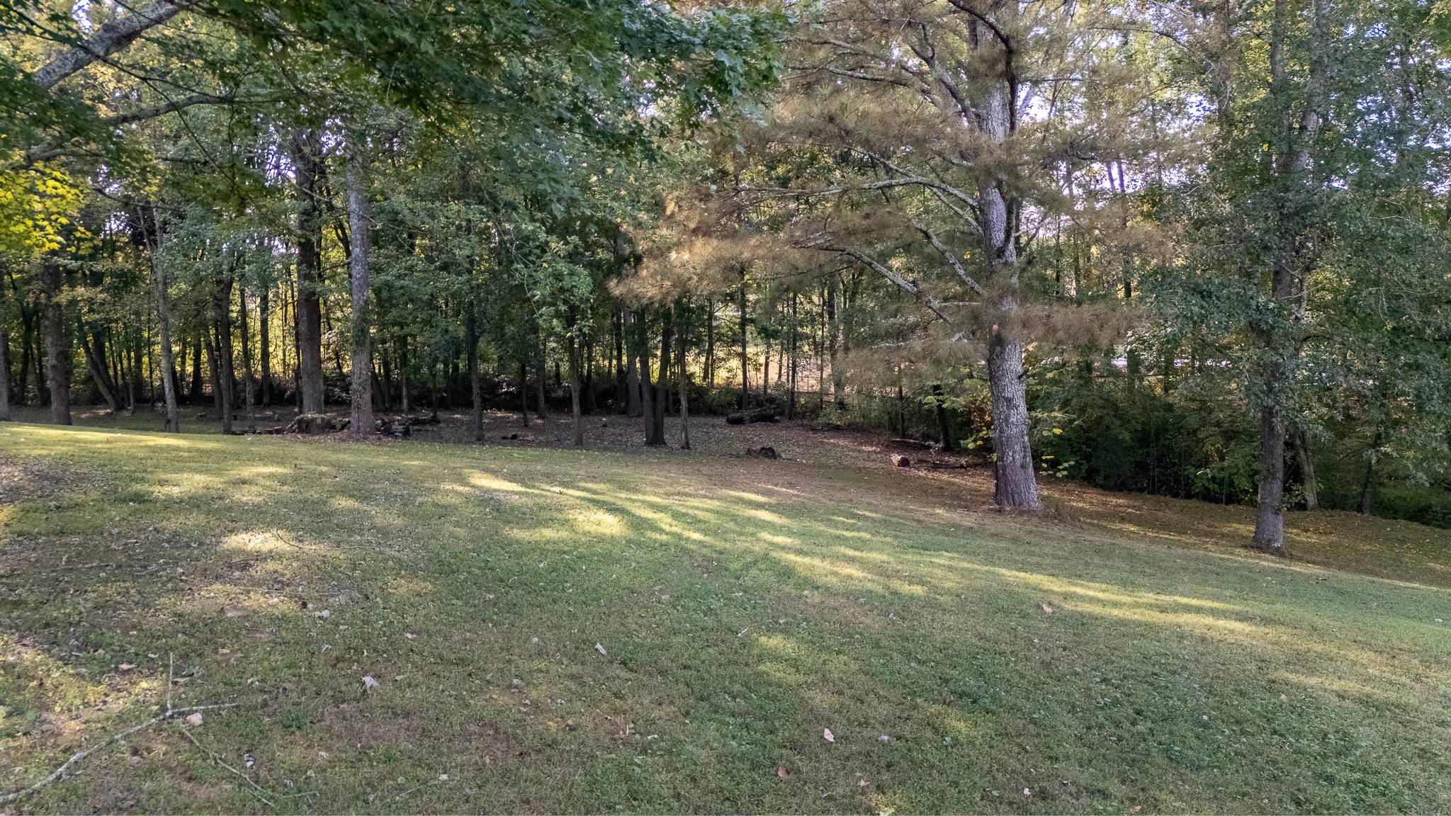 2155 Joann Ave Property Photo 46