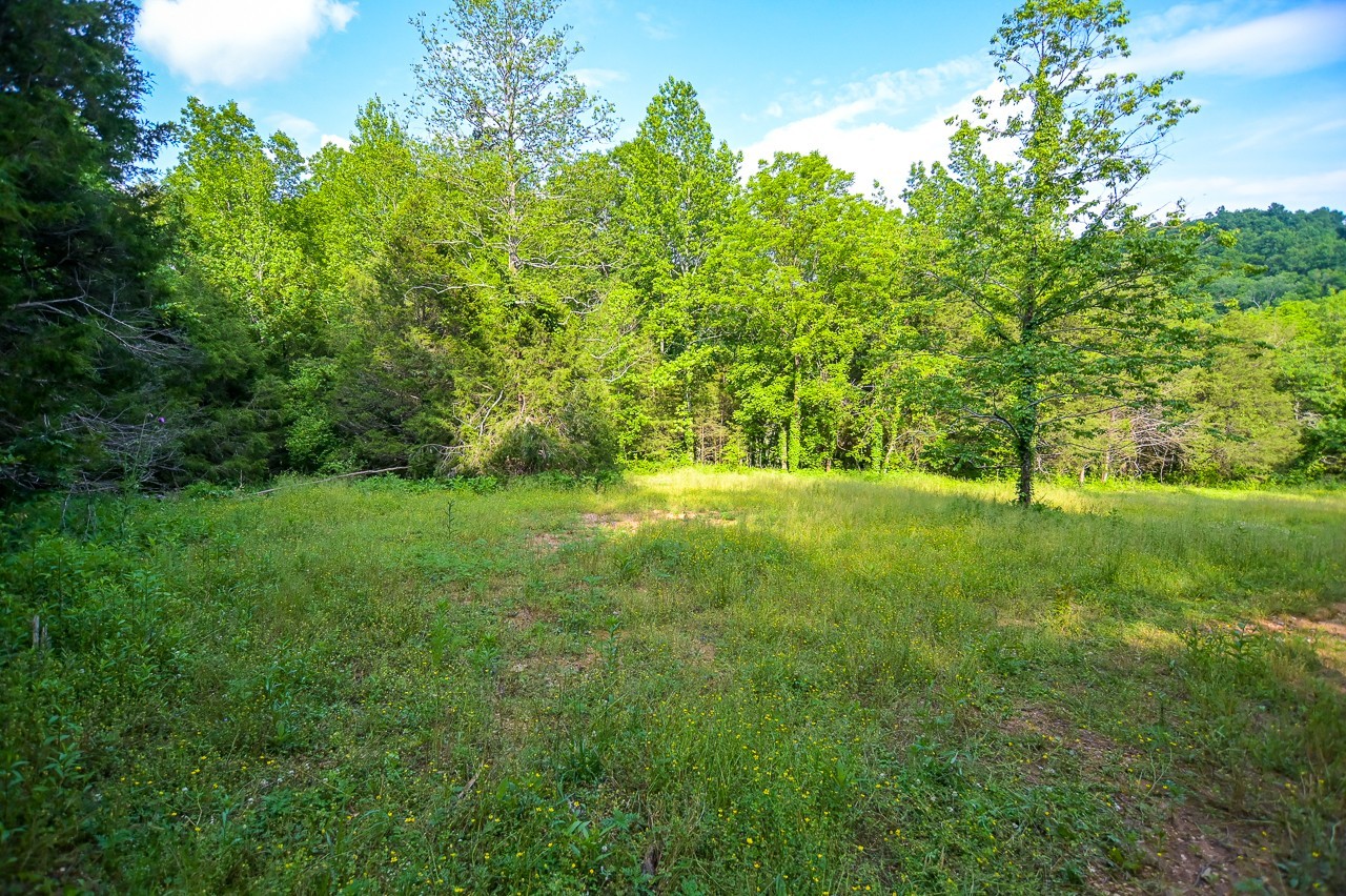94 Short Creek Rd Property Photo 1