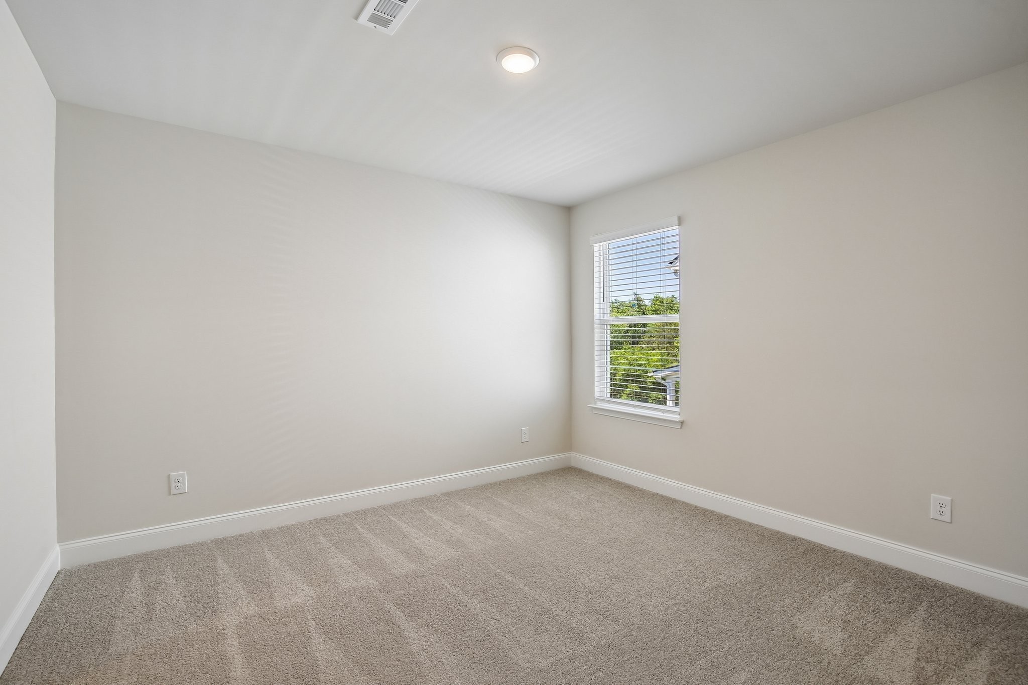 125 Emeline Way Property Photo 27