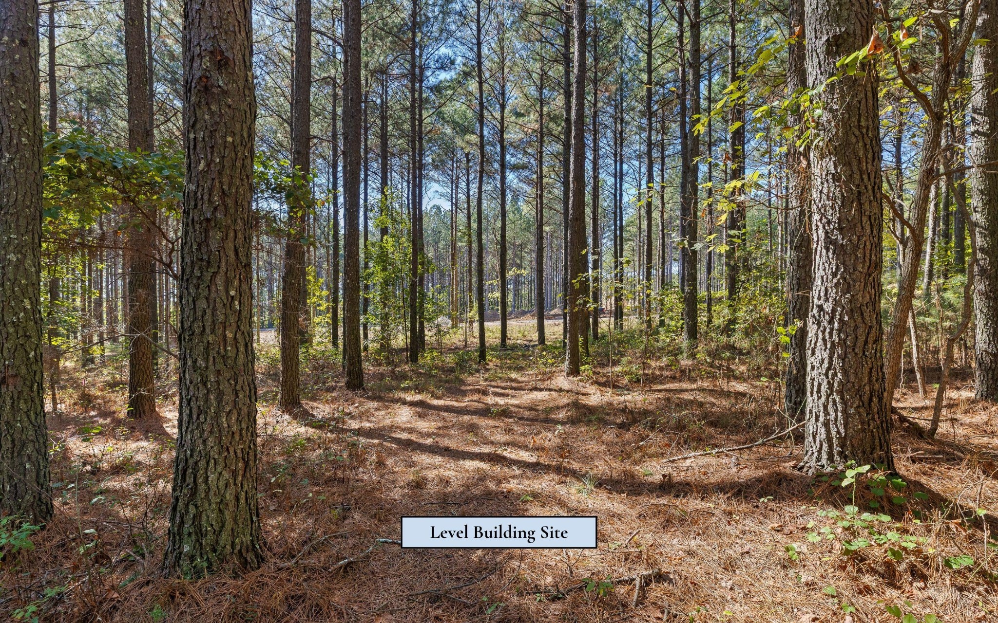 525 Canoe Court Property Photo 15