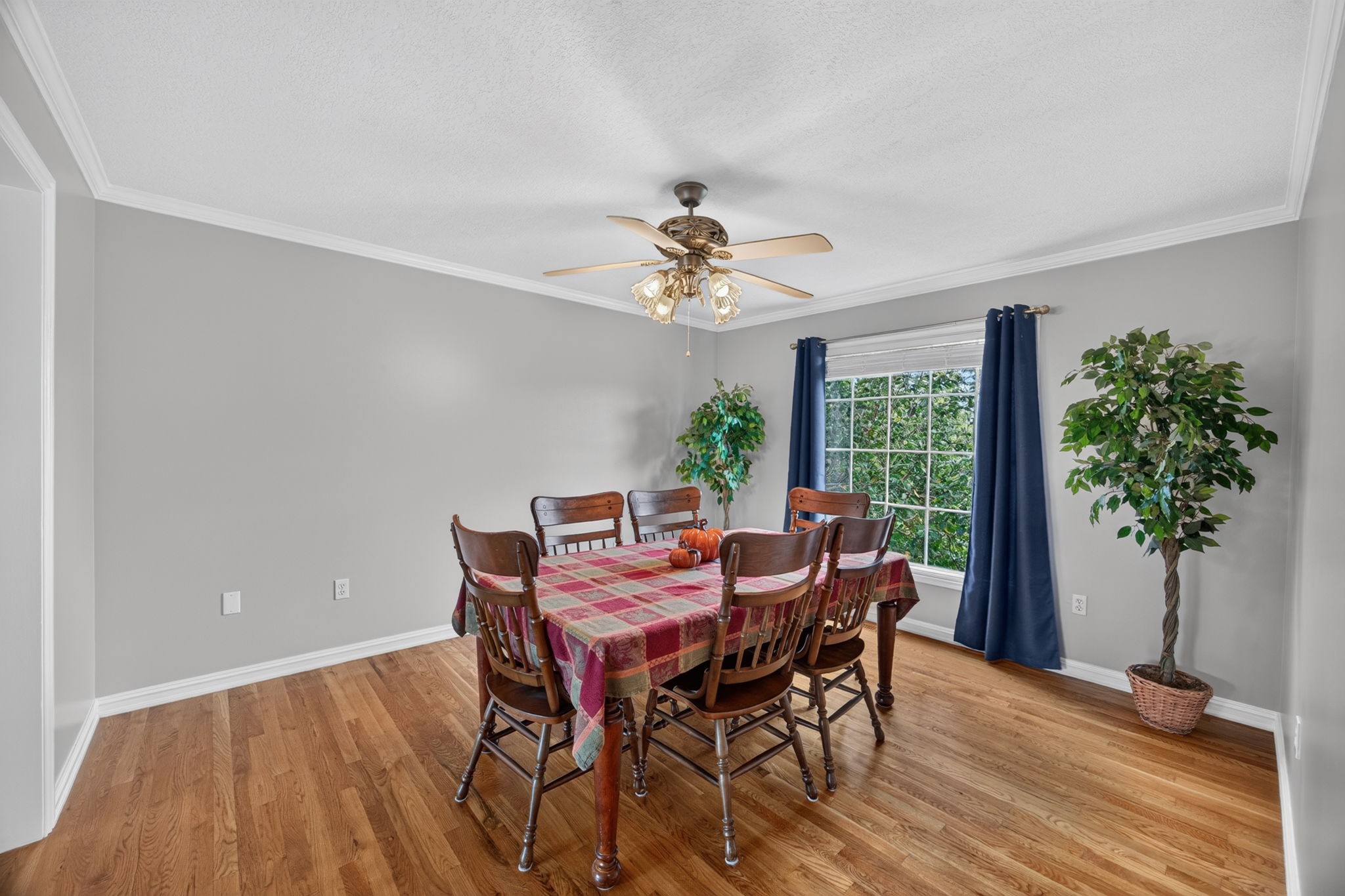 3730 Brookwood Dr Property Photo 6