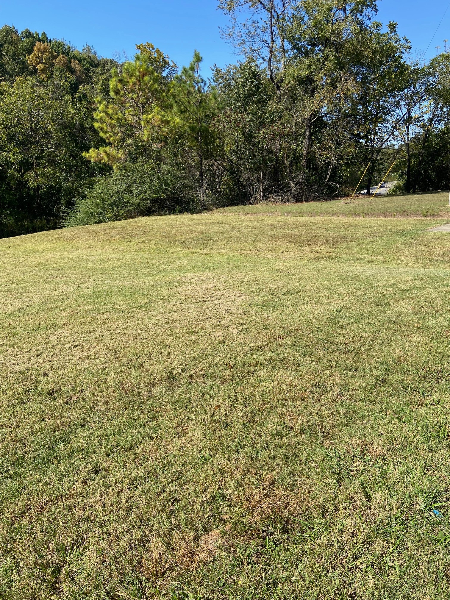 103 Jessikas Pl Property Photo 4