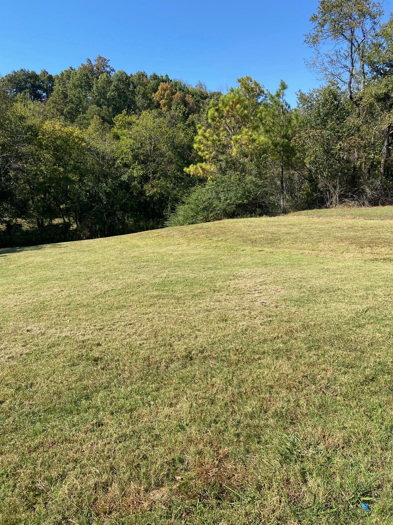 103 Jessikas Pl Property Photo 6