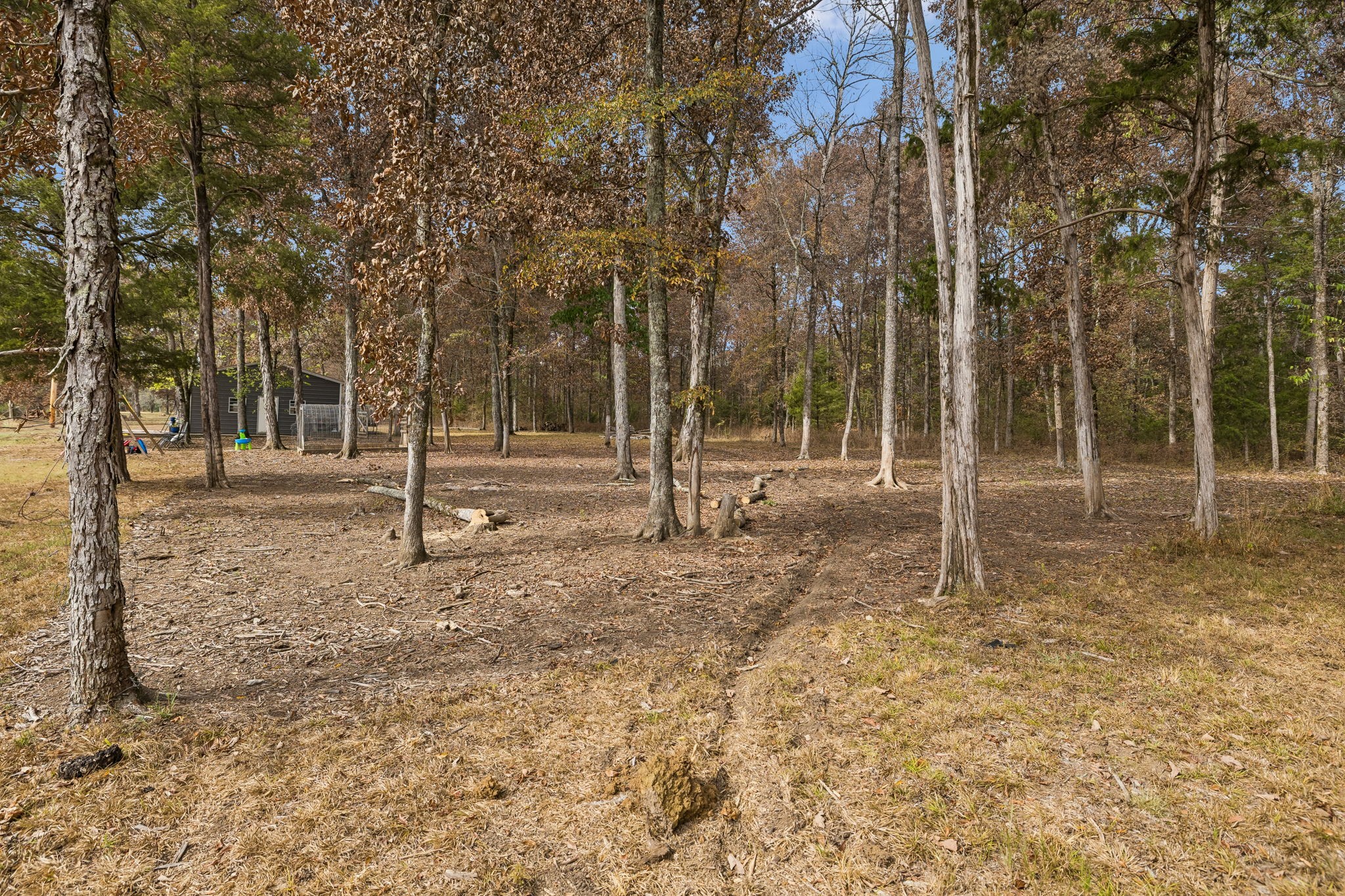 2713 Newcut Rd Property Photo 38