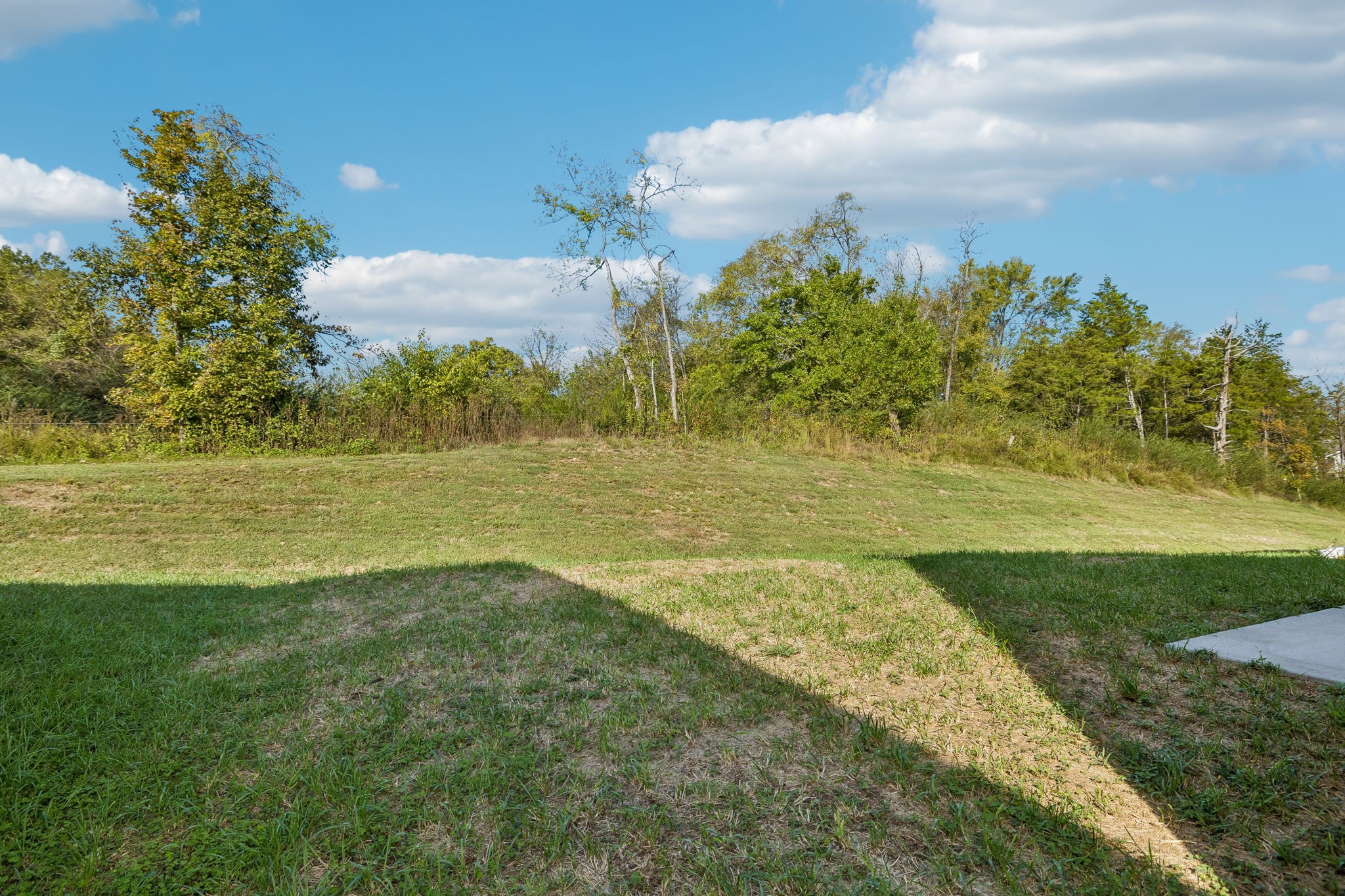 2464 Williams Ridge Dr Property Photo 37