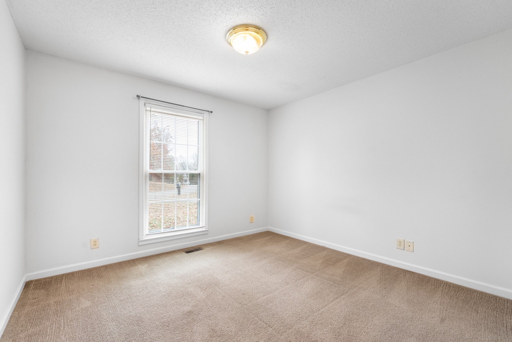 242 Millstone Cir Property Photo 20