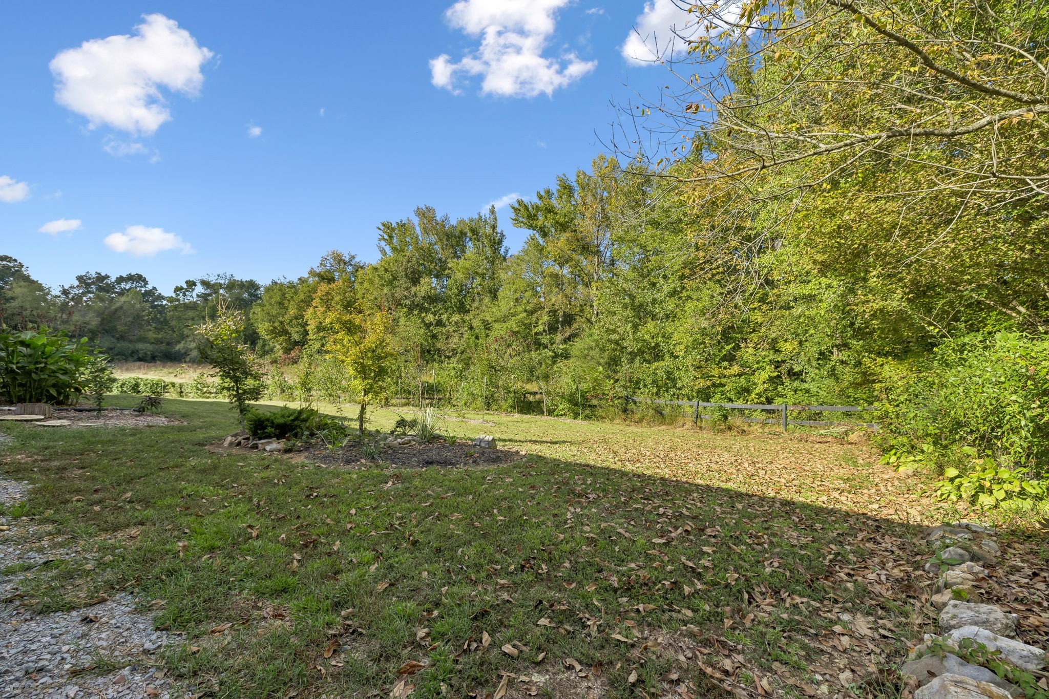 561 Bodine Loop Property Photo 56
