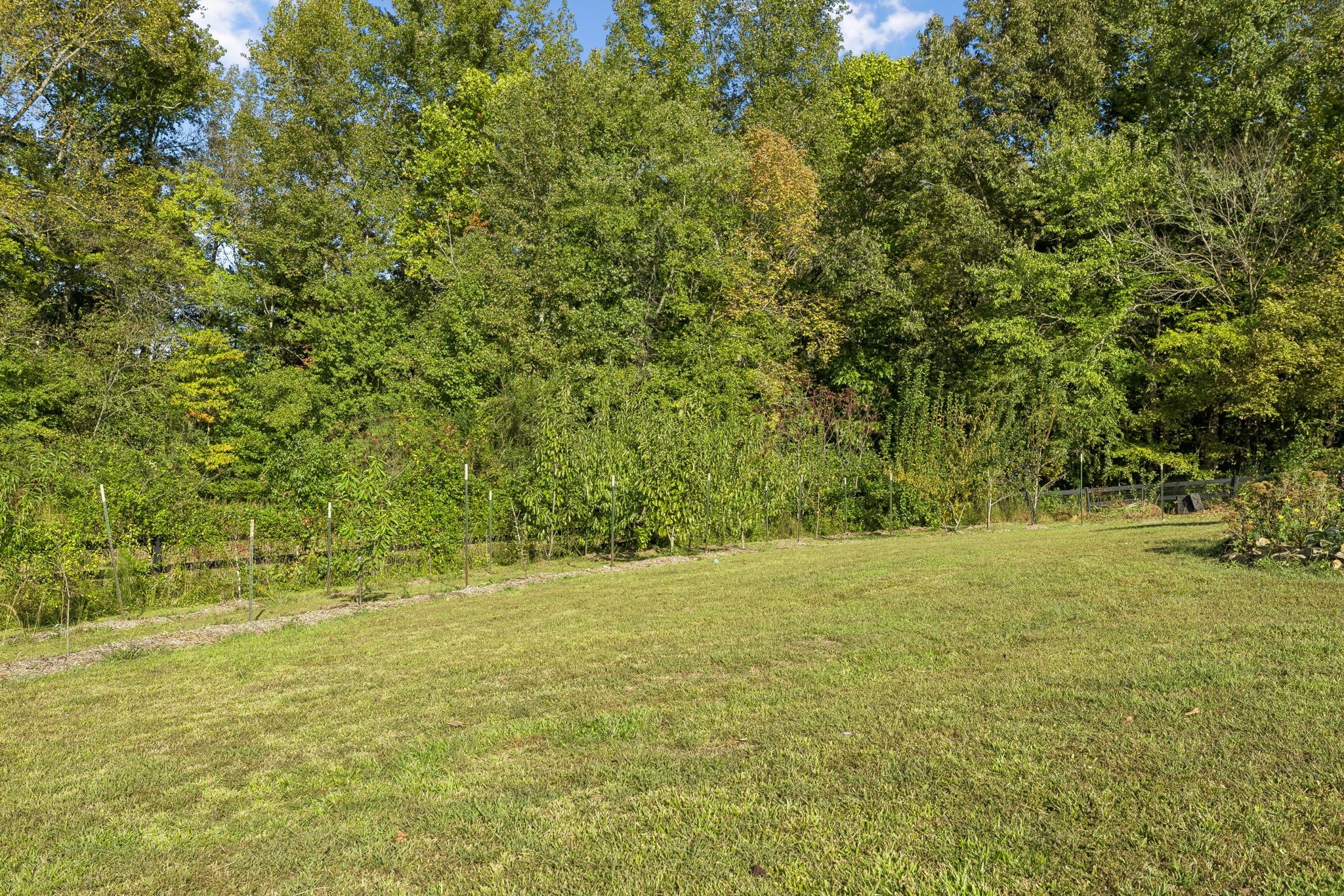561 Bodine Loop Property Photo 61