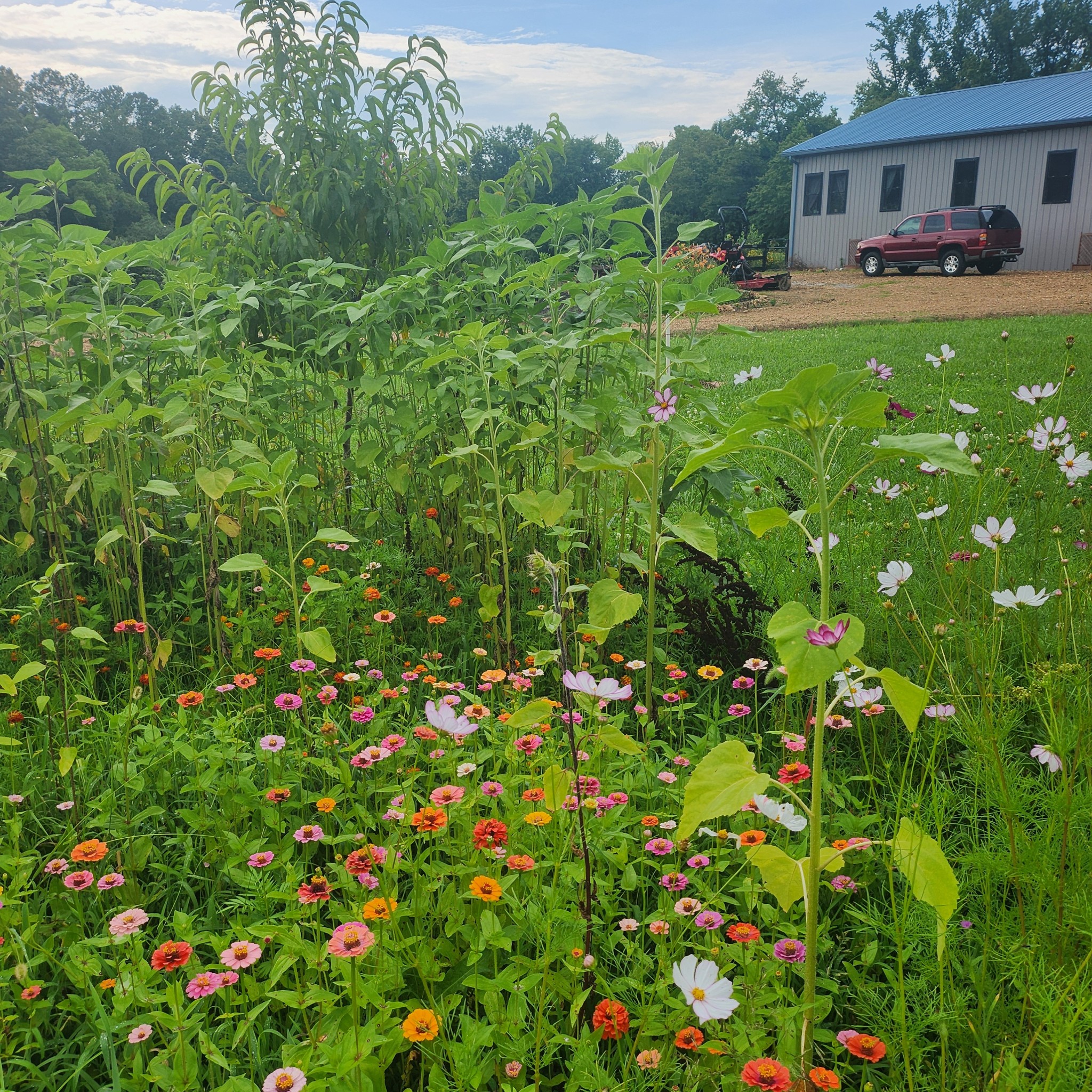 561 Bodine Loop Property Photo 81