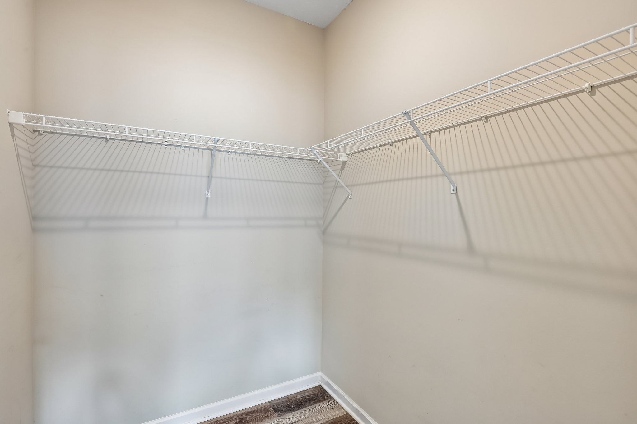 56 Reynard St Property Photo 29