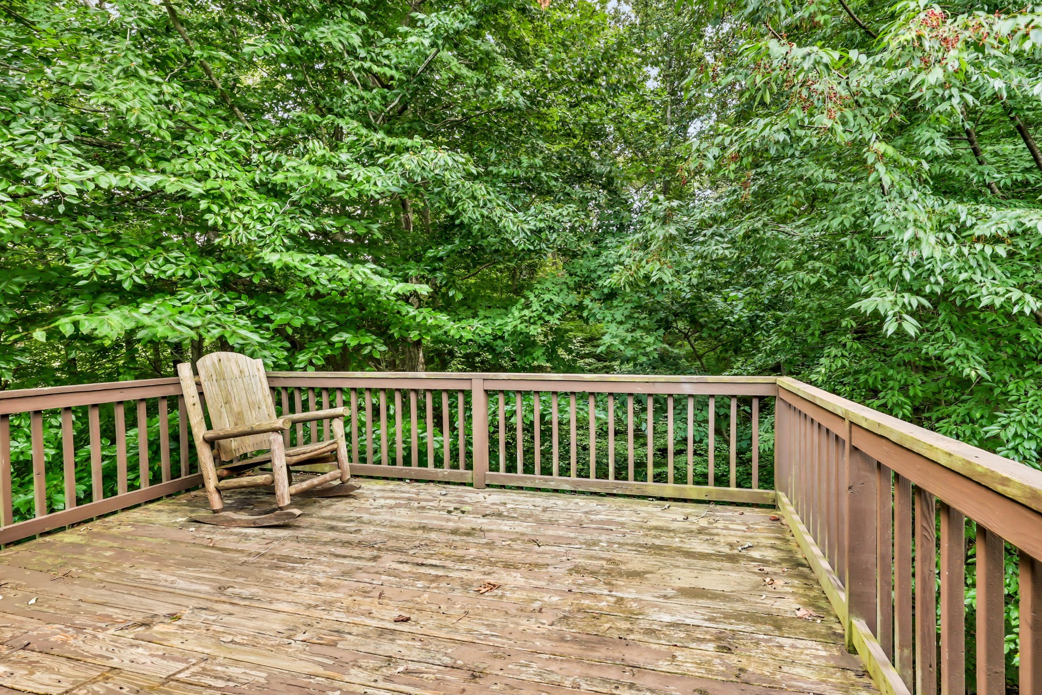 931 Drum Ln Property Photo 20