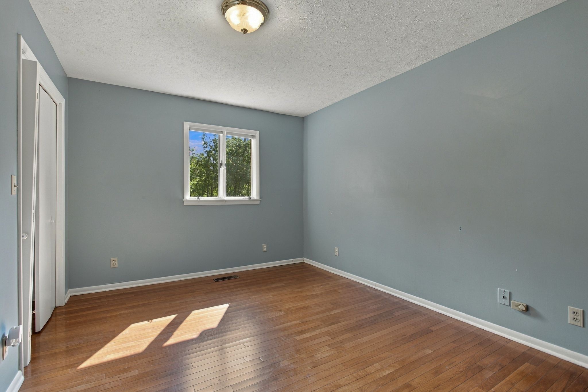 2993 Hobbitshire Dr Property Photo 53