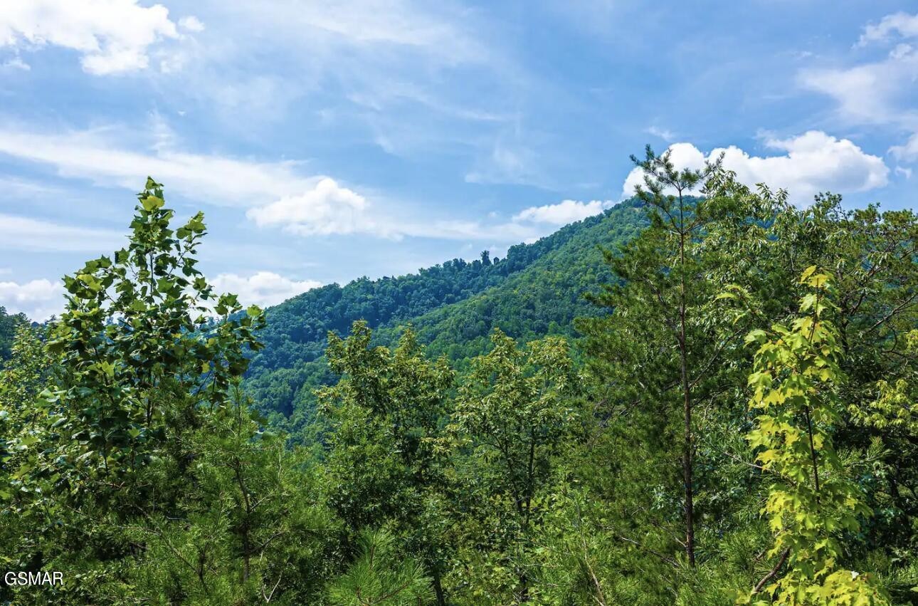 3152 Hatcher Top Road Property Photo 28