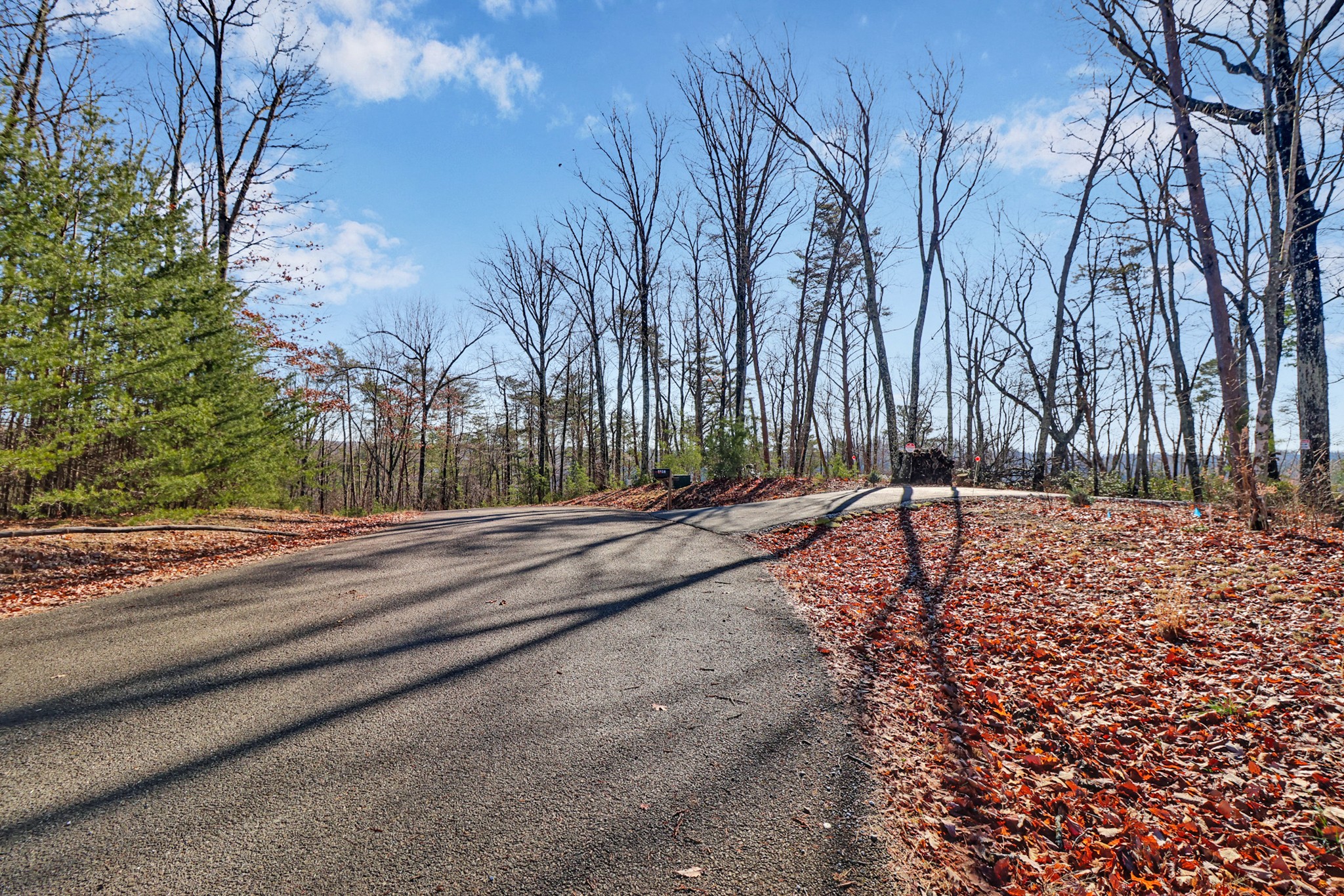 1309 Wind Rush Way Property Photo 6