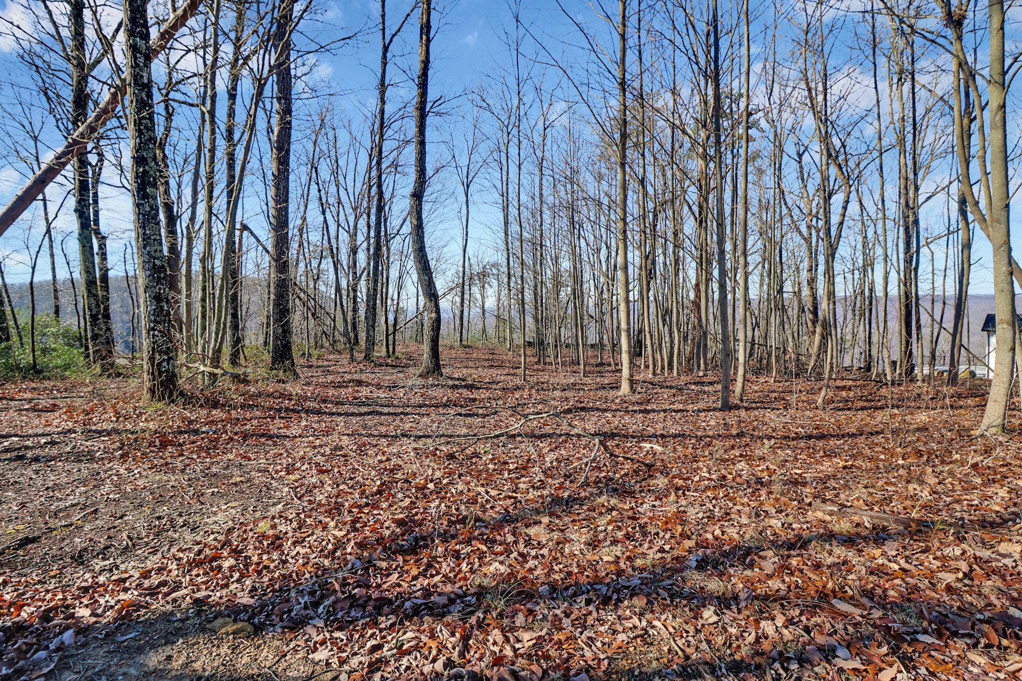 1309 Wind Rush Way Property Photo 7