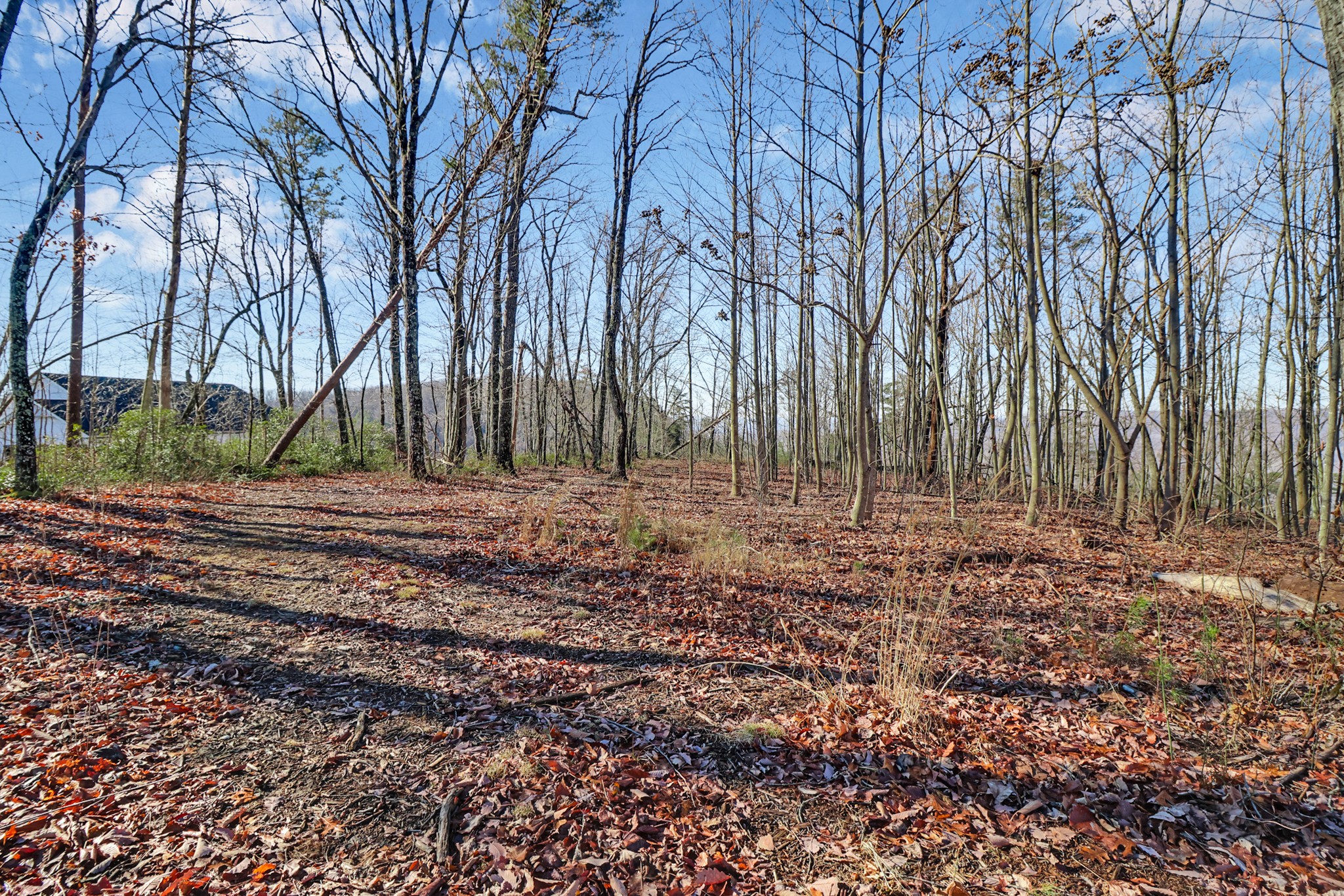 1309 Wind Rush Way Property Photo 8