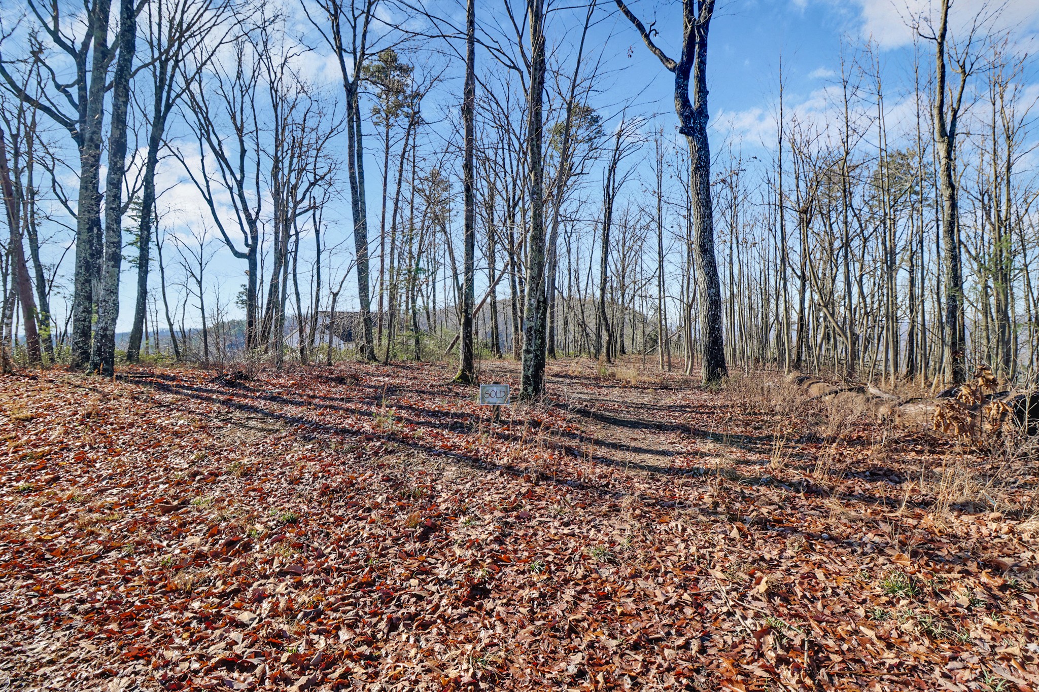 1309 Wind Rush Way Property Photo 9