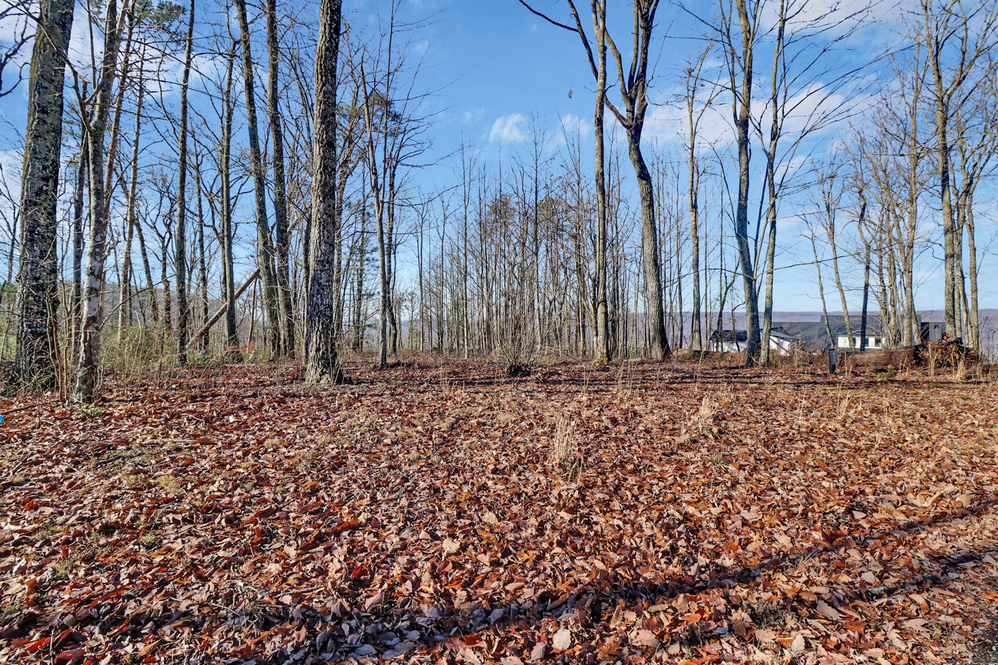 1309 Wind Rush Way Property Photo 10