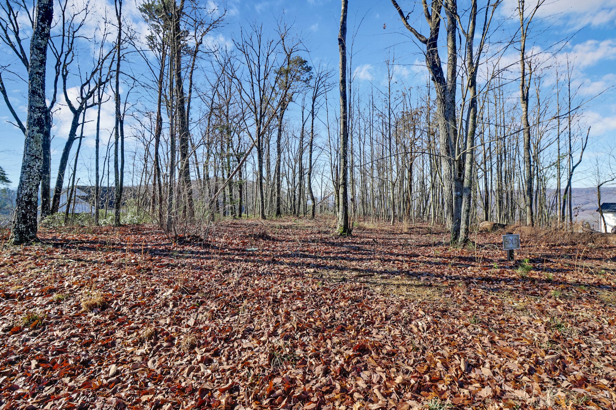 1309 Wind Rush Way Property Photo 11