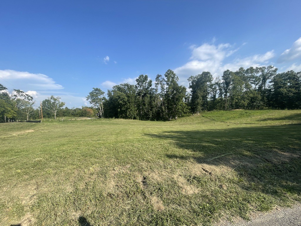 44 Ridgeway Ave Property Photo 6