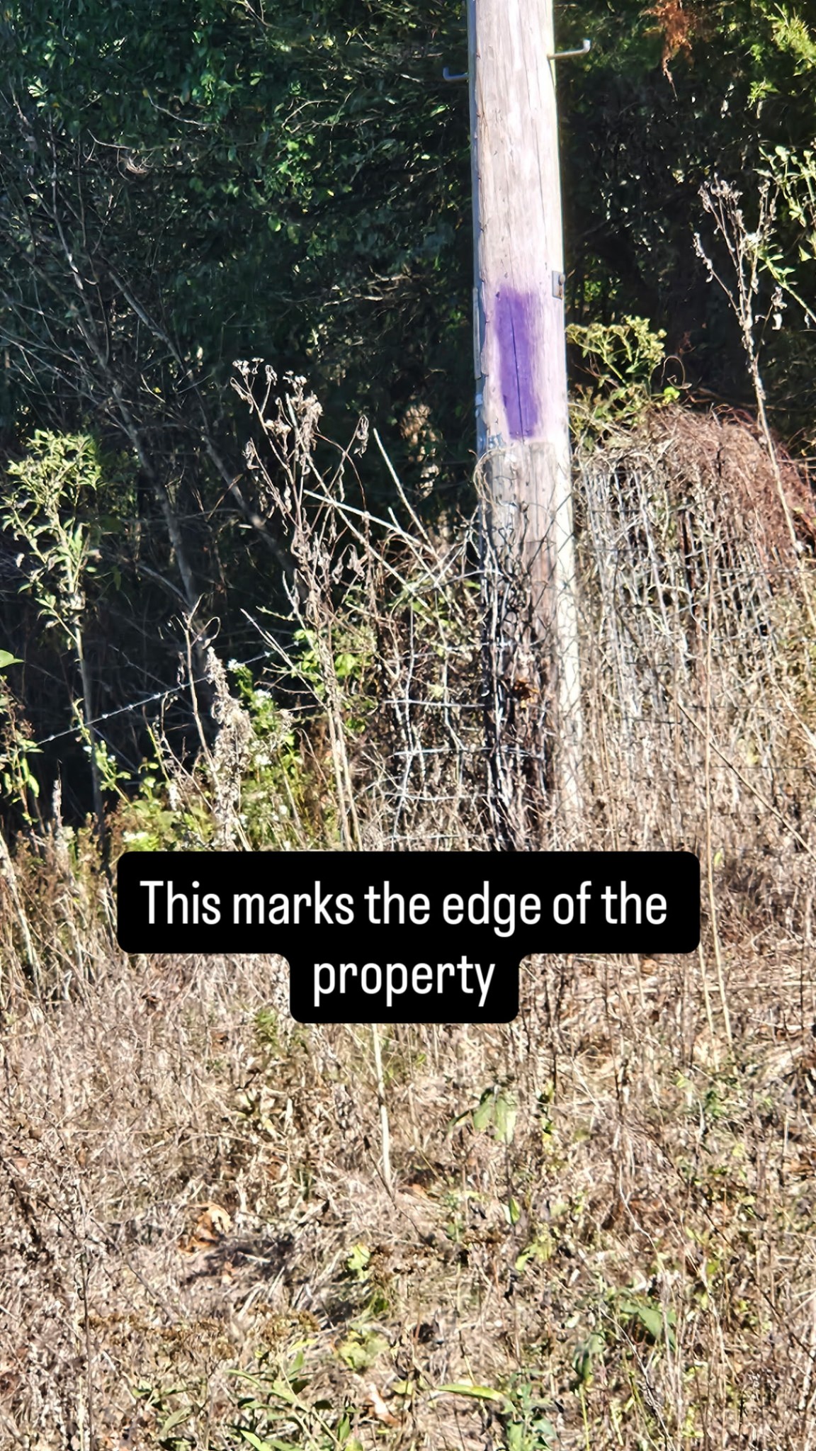 642 Club Springs Rd Property Photo 21