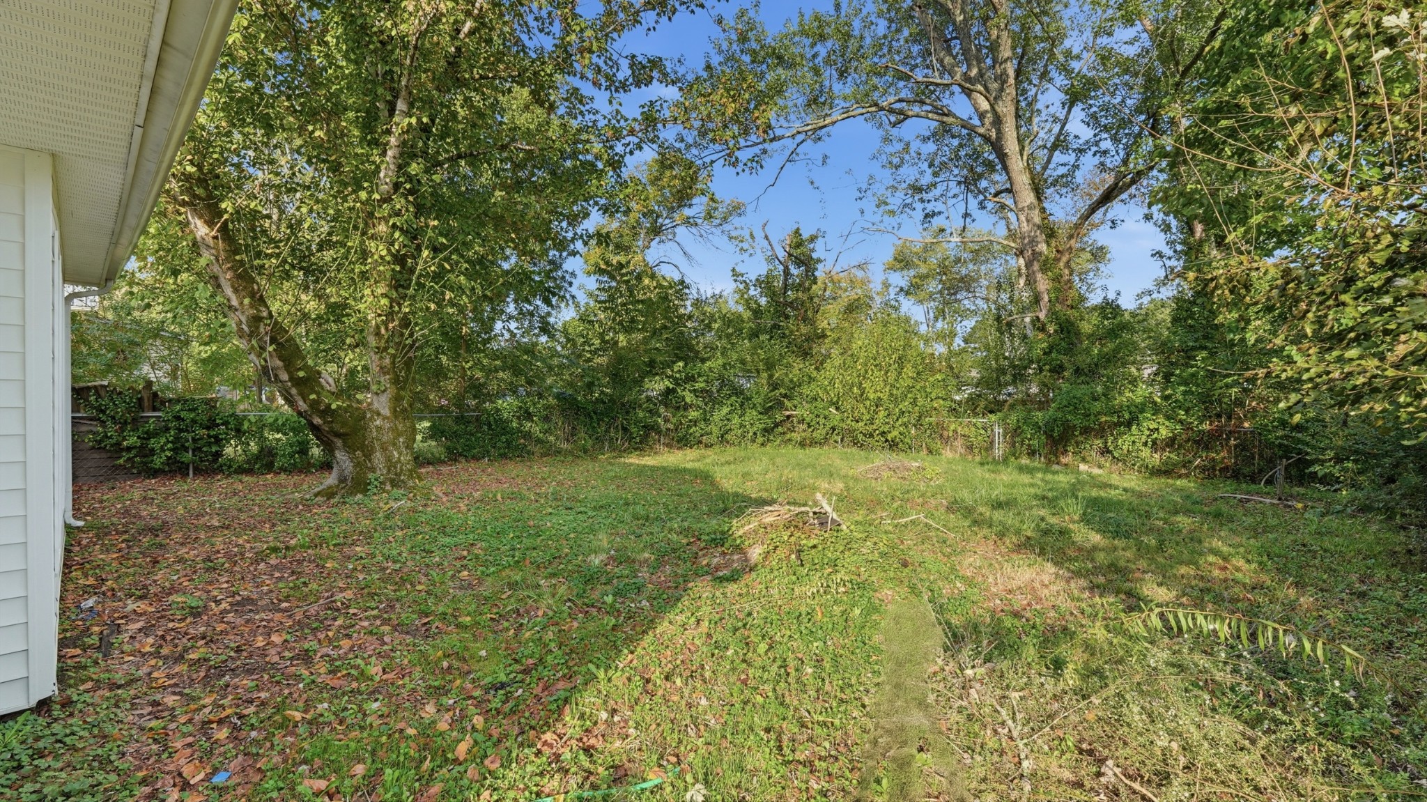 1303 E Lincoln St Property Photo 26