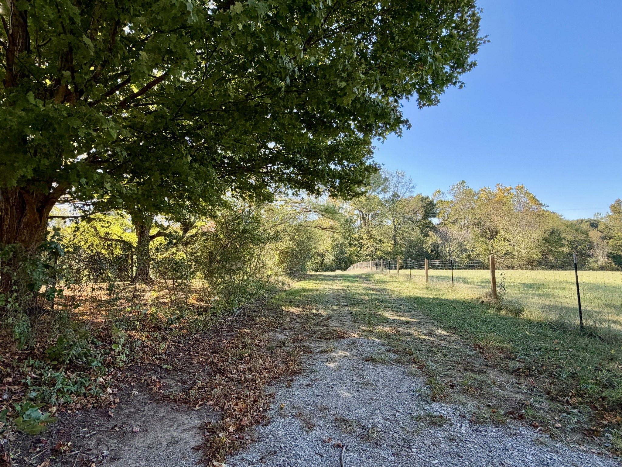 0 Fisher Hollow Rd Property Photo 3