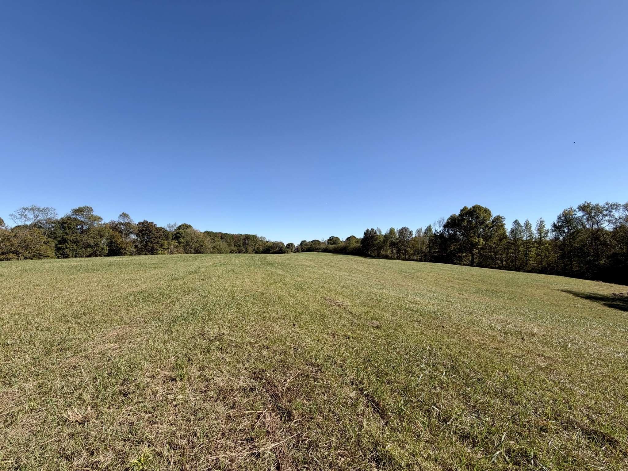 0 Fisher Hollow Rd Property Photo 9